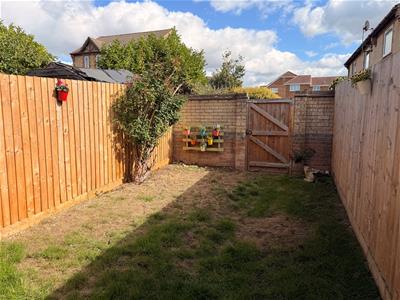 Picture 11